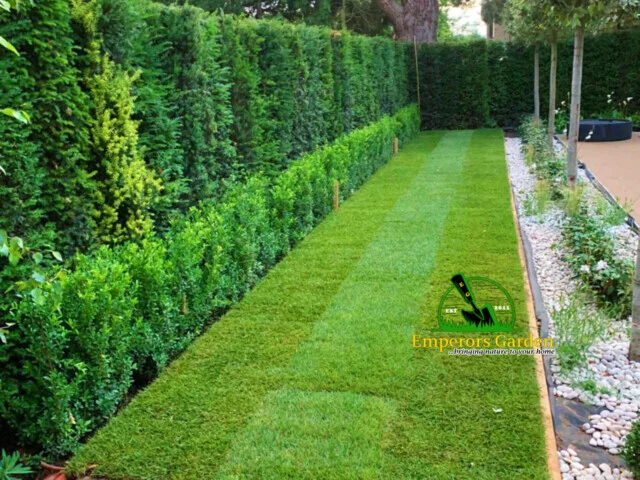 Edging