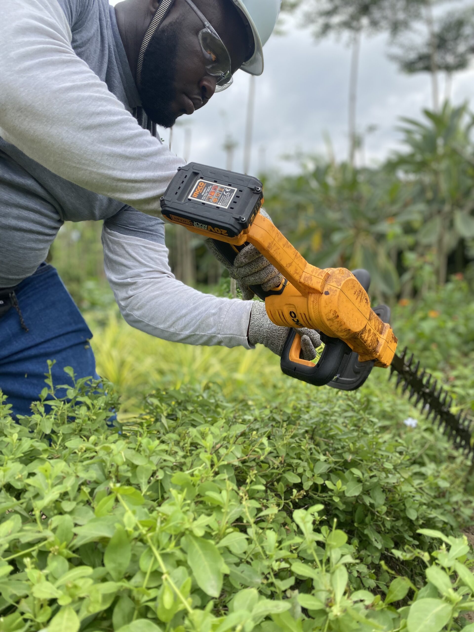 Emperors Gardens team at work
